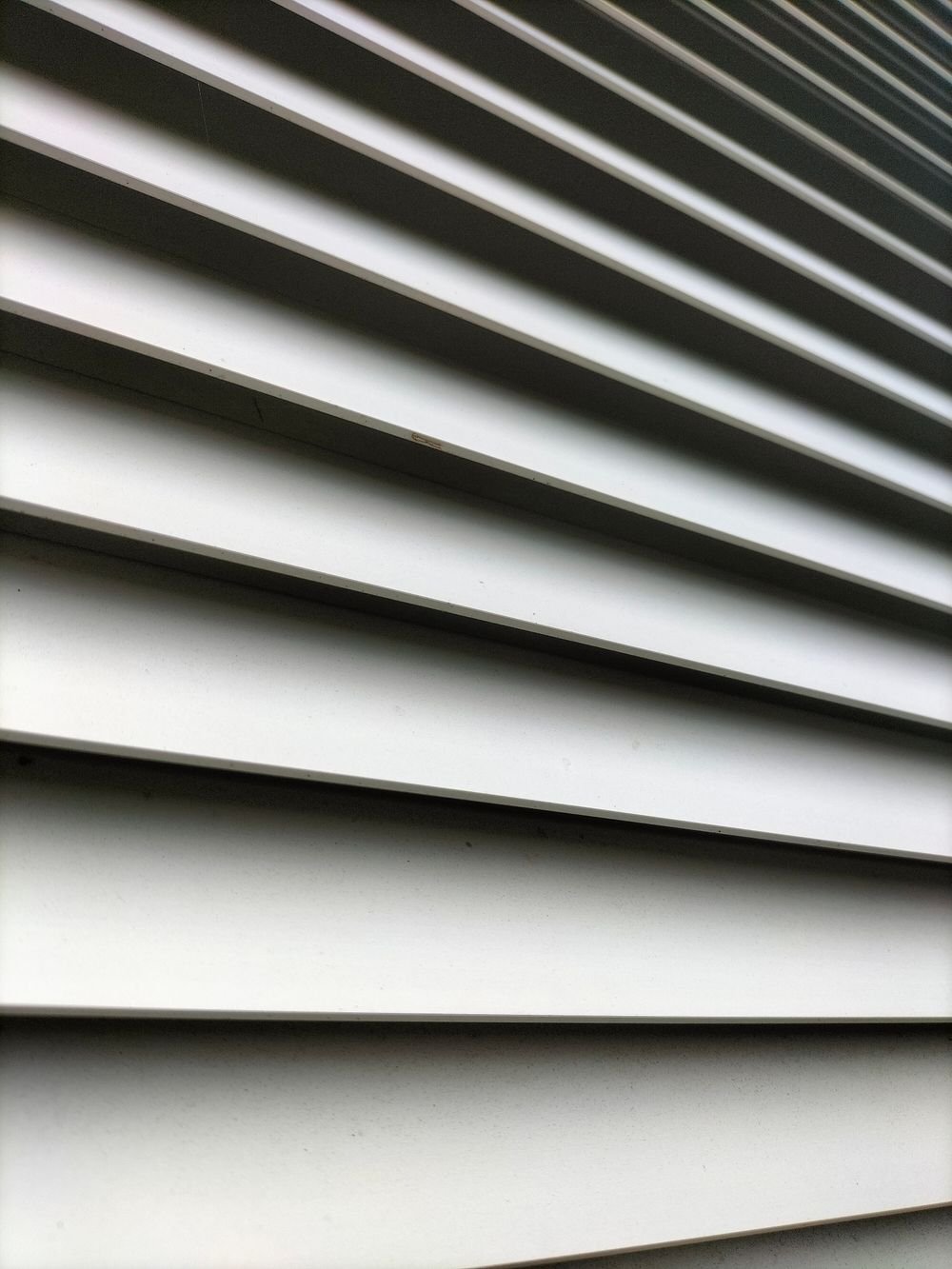 Window blinds for adjustable light and privacy